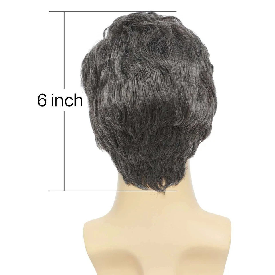 6in Men’s Short Silver Gray Wig Full Heat Resistant Synthetic Cosplay Party