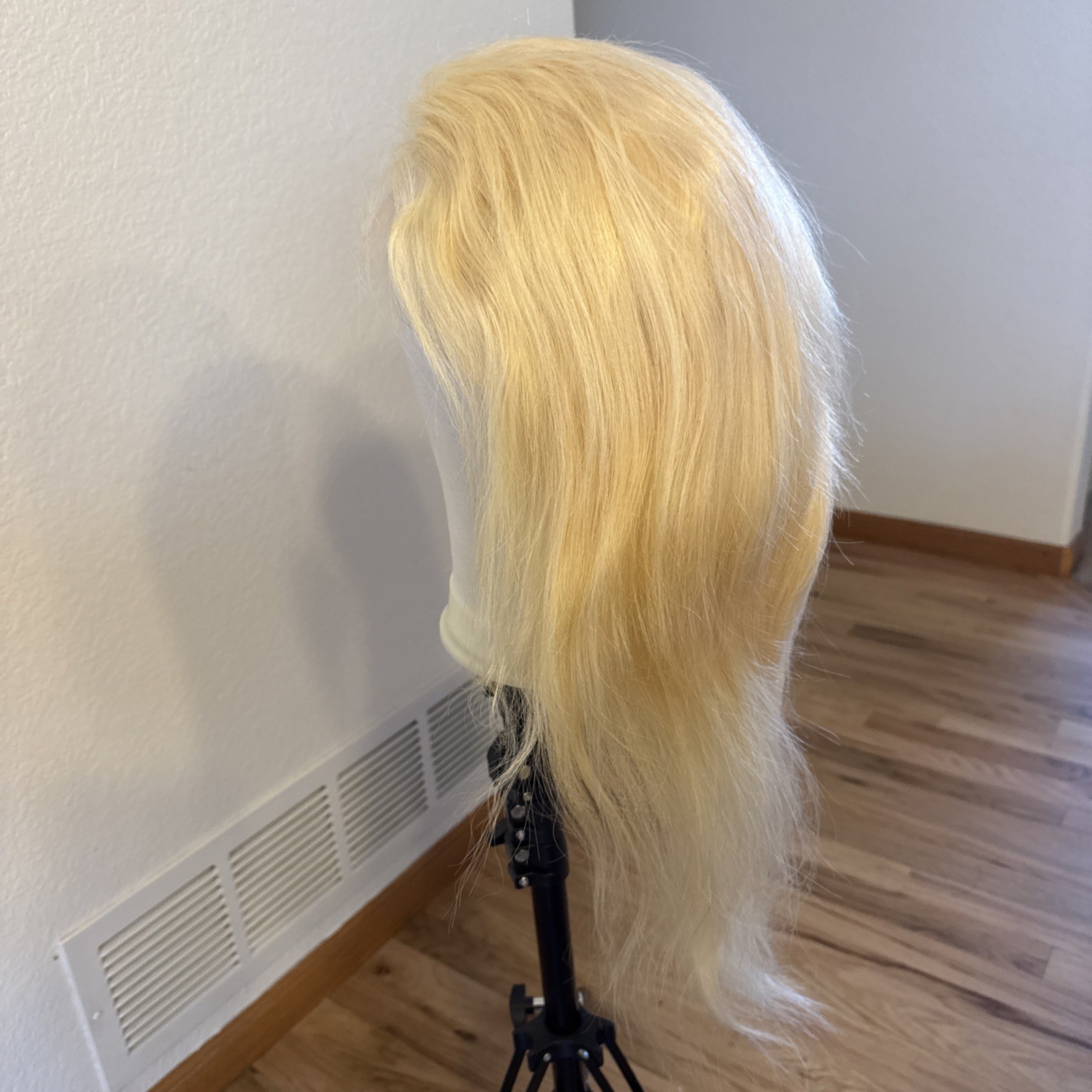 Human Hair Wig | 27” Light| Golden Blonde Highlight’s Lace Cap No Tags 144
