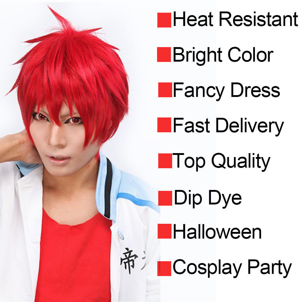 Unisex Anime Short Wig Straight Hair Cosplay Costume Party Heat Resistant Wigs