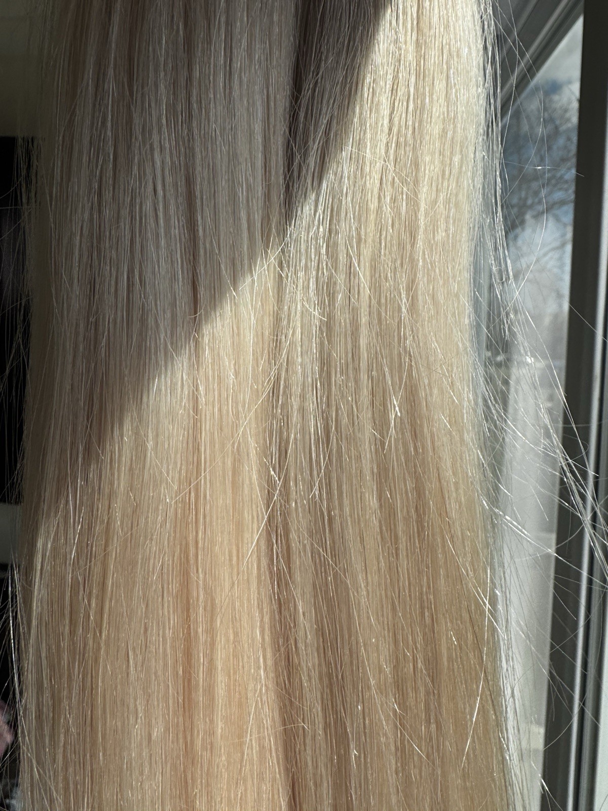 Human Hair Slavic Natural Hair for Extensions 200g/24in 60cm Platinum Colour 1B