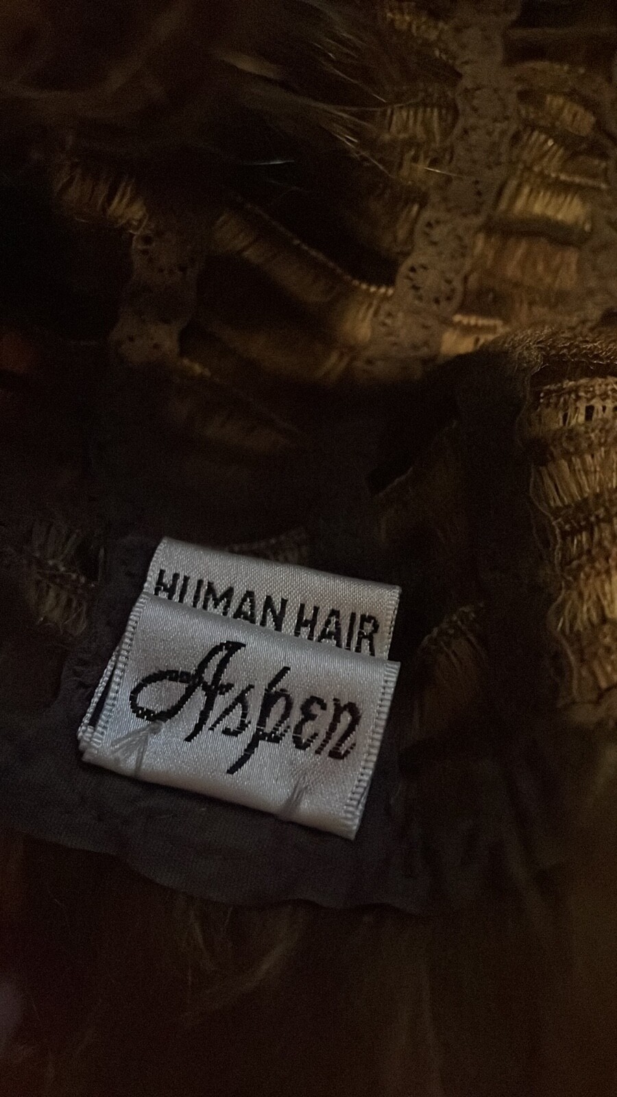 aspen human hair wig was on display but never worn color 10/16 style CH 25/rose