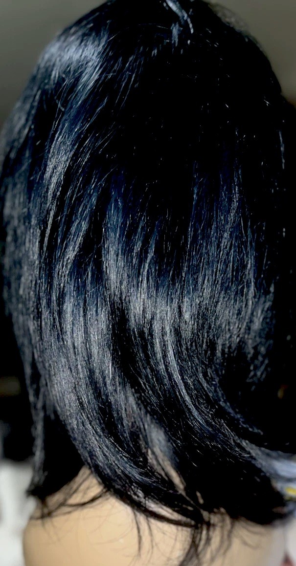 100% BRAZILIAN HUMAN HAIR 360 WIG SILK BASE LACE FRONT LAYERED Color #2 NEW