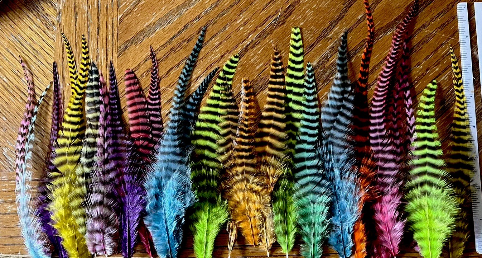 25 Feathers Extra Wide Bright Colors Whitting Metz Grizzly Extensions 5.5”x 8”