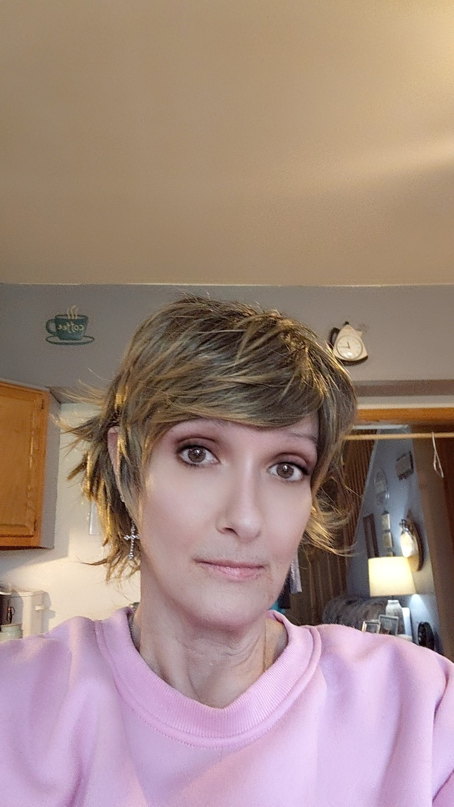 wig layered straight light brown blond highlights for women adult