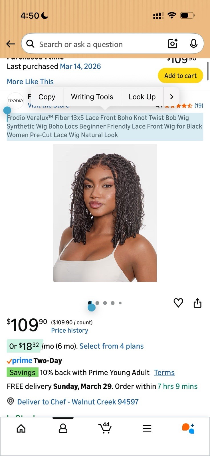 Frodio Braided Hair Wig