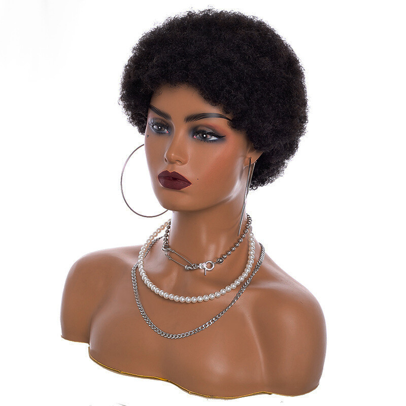 Human Hair Wig Short Black Afro Kinky Curly Wig for Women No Lace