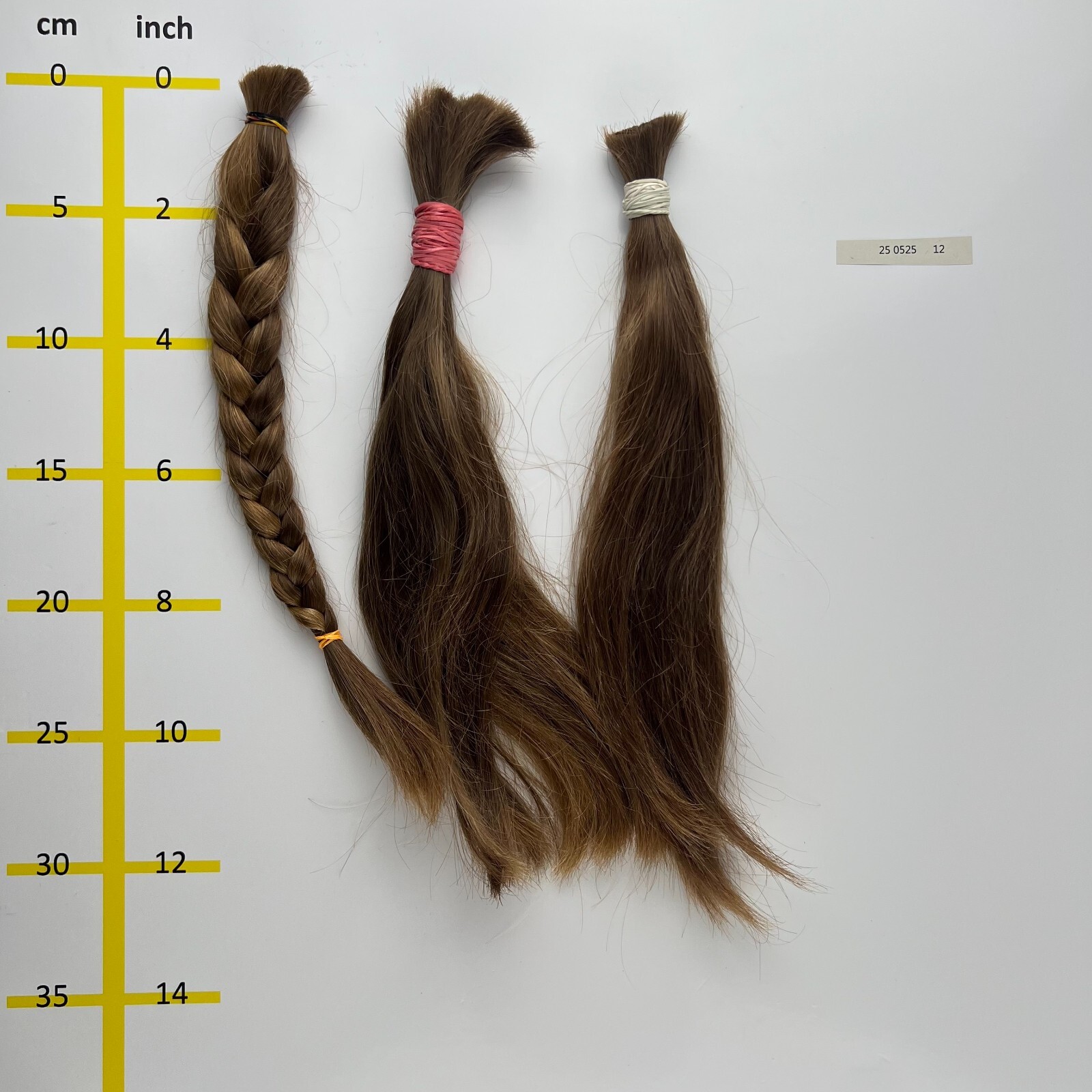 European hair, cut hair, raw hair, Medium Blonde, 10”-12”, min. 100 gr.,virgin