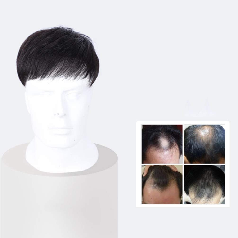 Men’s Straight Short Black Wigs Hair Pieces Short Wig w/ Bangs Clip-On Daily USA