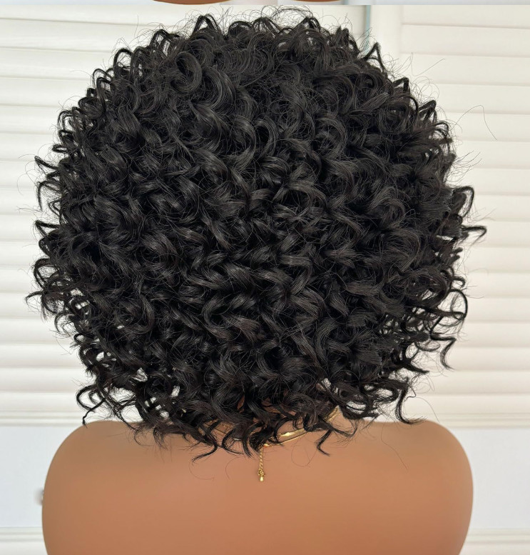 Afro Kinky Curly Black Color Synthetic Hair Wigs For Black Women Soft Natural