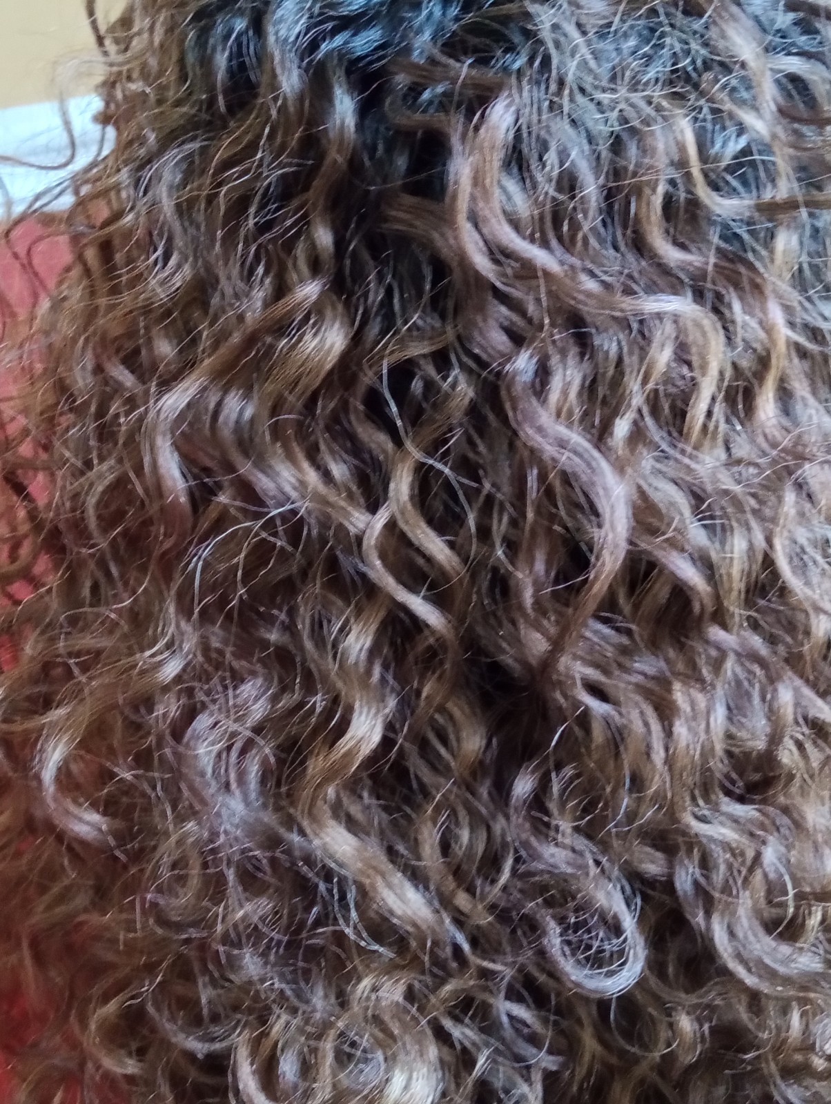Sensationnel Dashly Full Wig Curly – Unit 27, BALAYAGE SUNKISSED