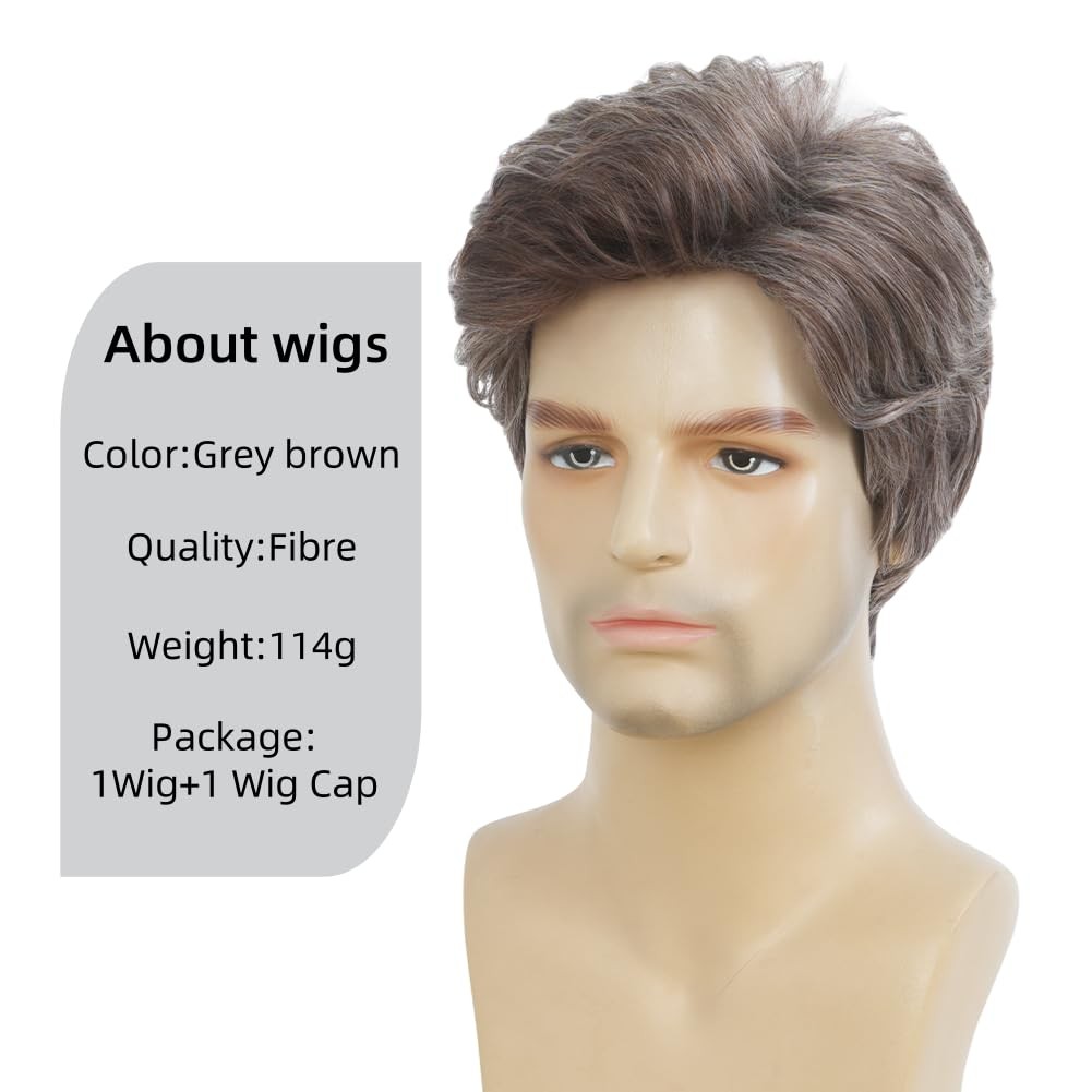 Salaibs Mens Grey Short Wig Natural Synthetic Heat Resistant 22 Inch,