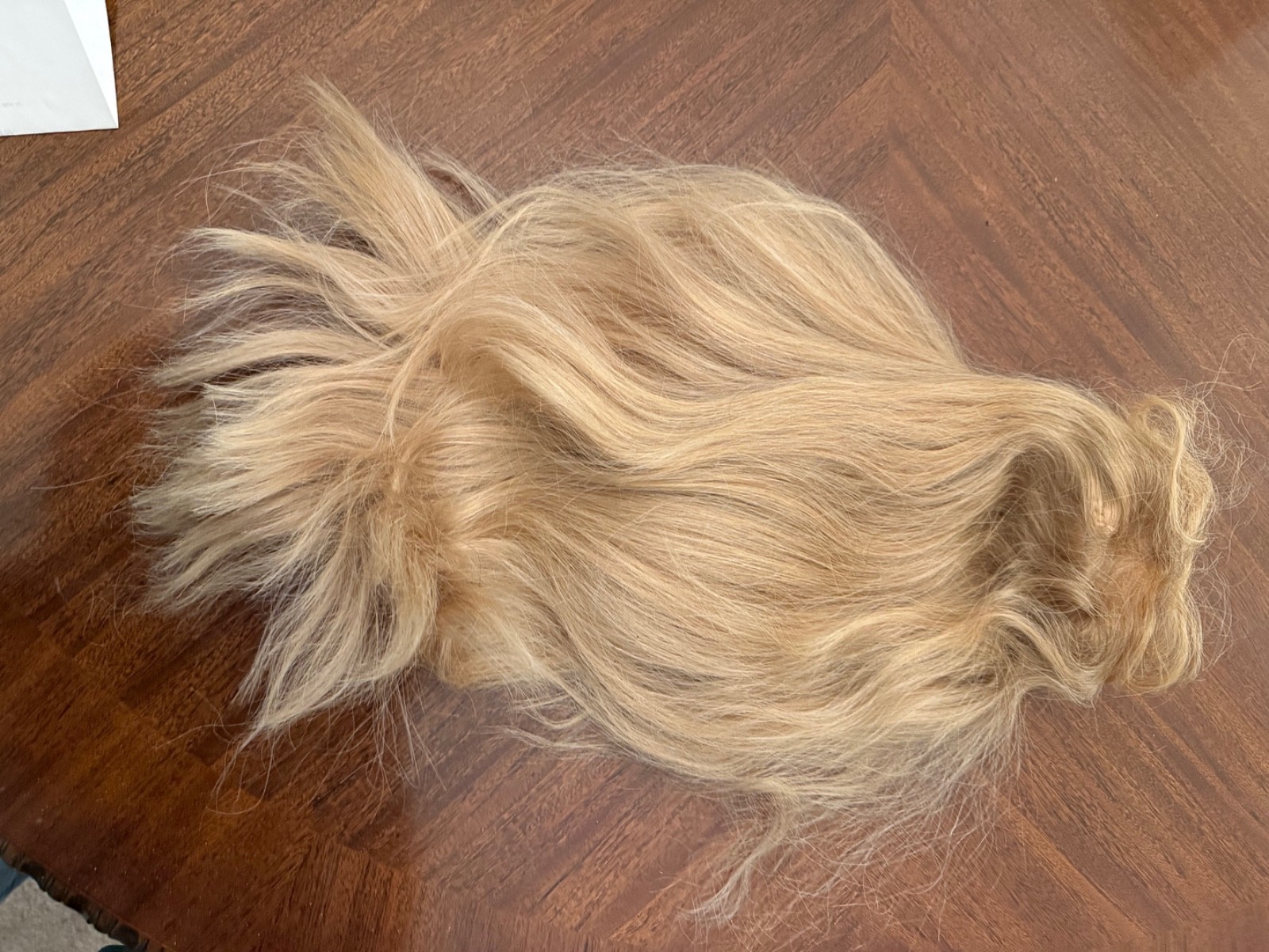 WP-Alexandra, Mono Top, Remy Hair wig color Blonde Type 12 Real Hair