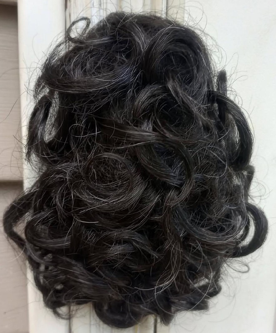 Clip on Hair Pieces NWT color #281 Black with 5% Silver throughout
