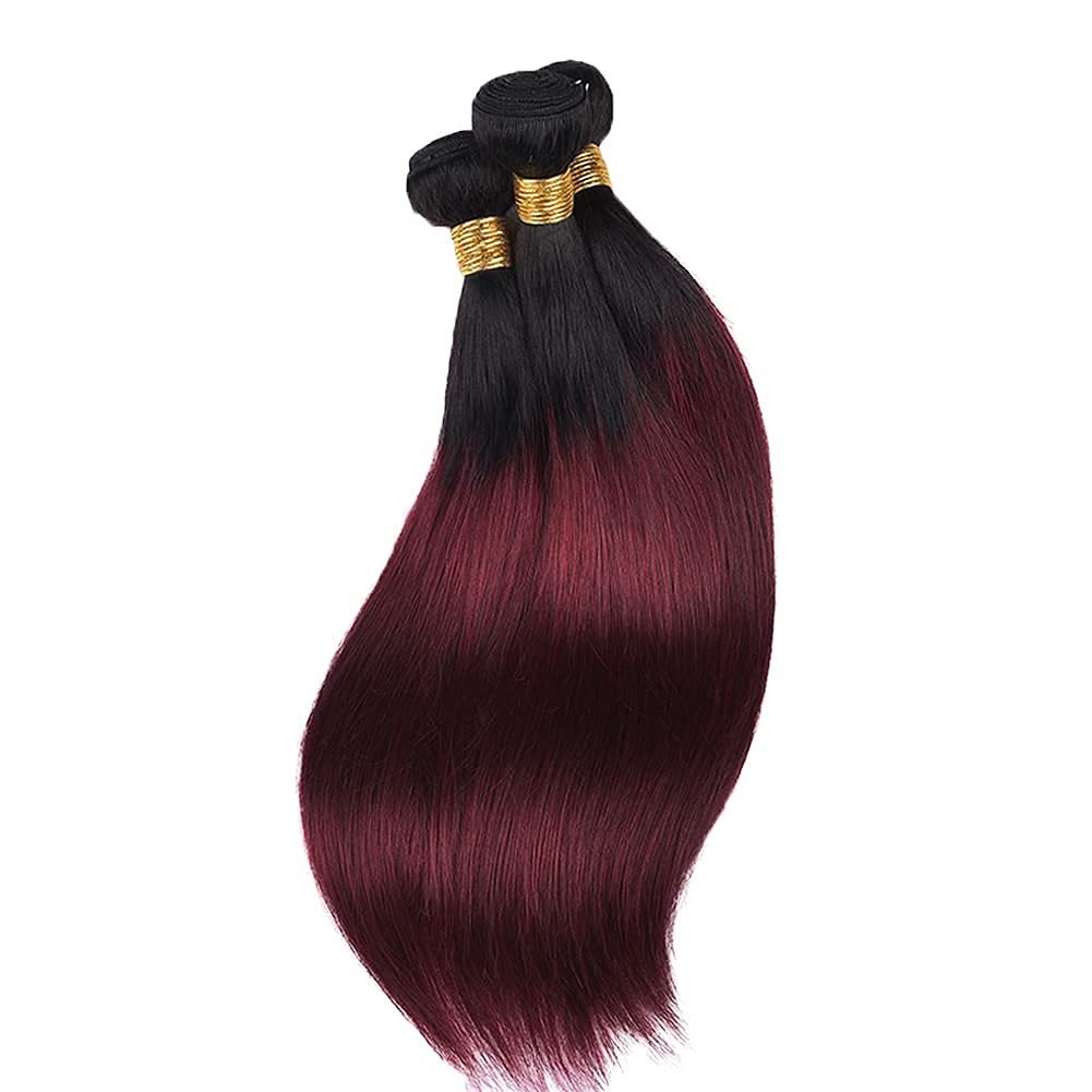 Aikebi Brazilian Human Hair Bundles 18 20 22 Inch Burgundy T1B/99J Straight