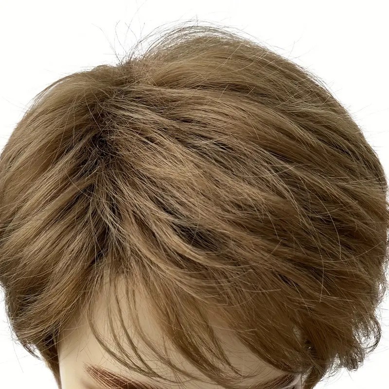 Men Wig Brown Layered Short Beanie Hairpiece Male Universal Cosplay Glueless Wig