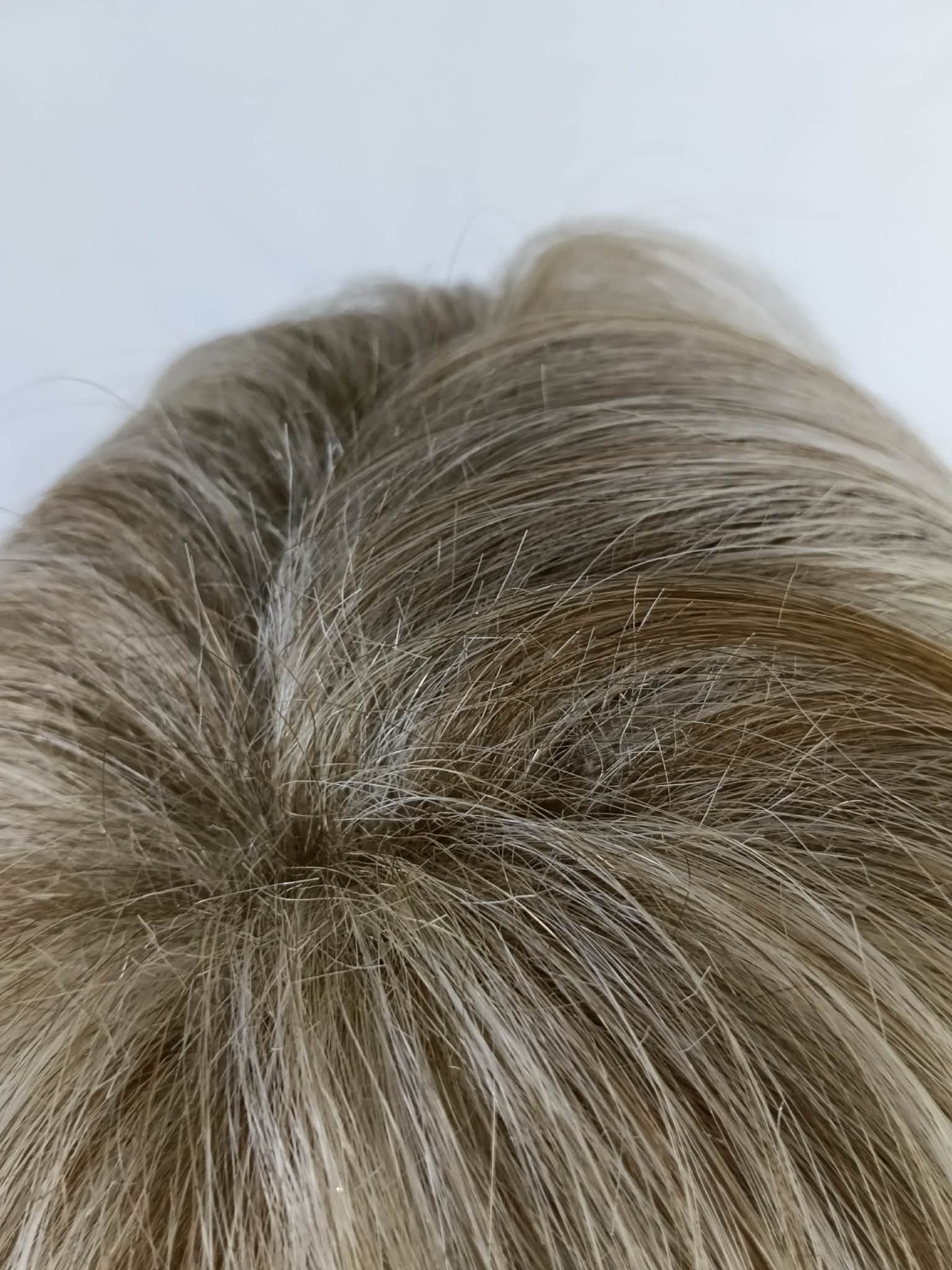 Raquel Welch Long Always Average CAP RL19/23 Biscuit Wig / New, Read*