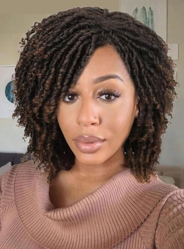Short Braided Wigs For Women And Man Afro Bob Black Crochet Twist Hair Wig