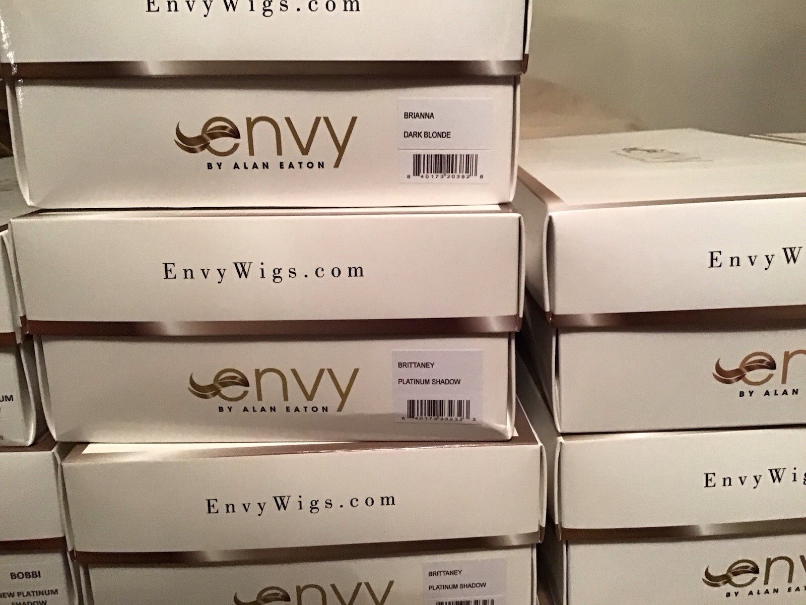 NEW IN BOX WIG ENVY BELINDA PLATINUM SHADOW New ATELIER HAND TIED SWISS CAP