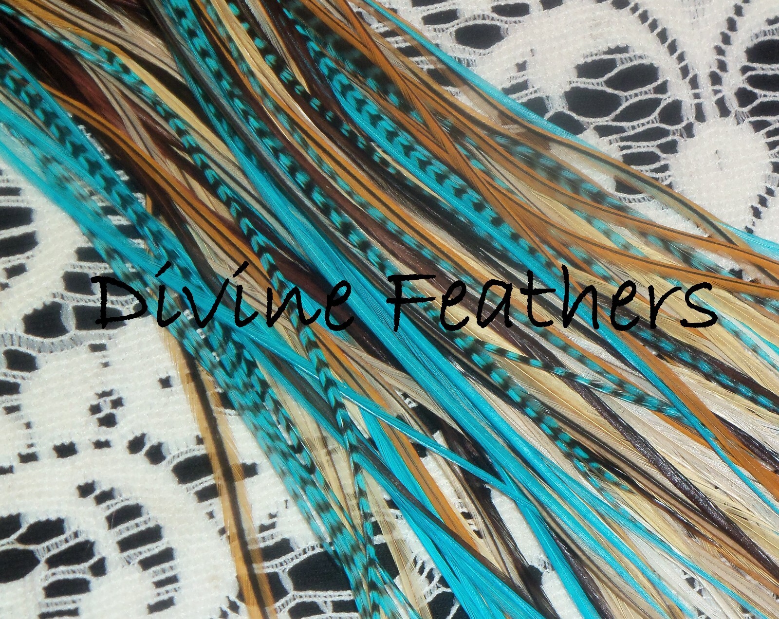 XL long salon kit Natural Aqua Feather Extensions Divine feathers microbeads