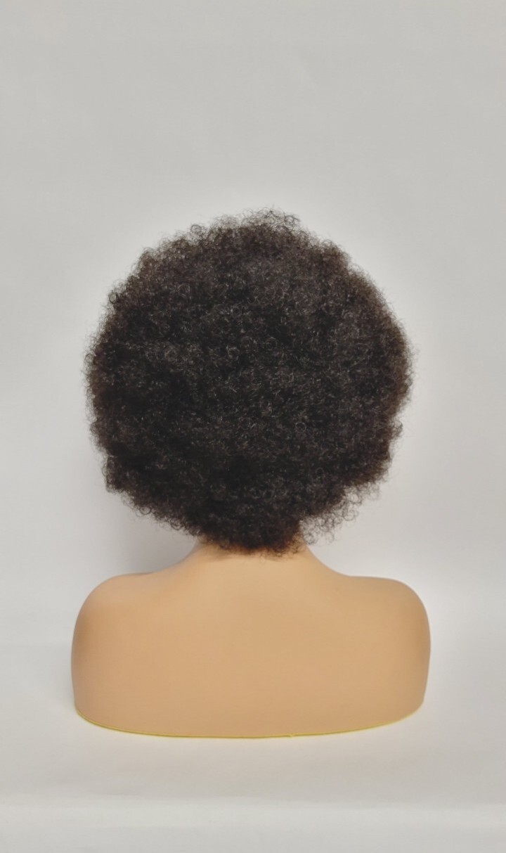 Short Afro Puff Wigs for Black Women Curly Kinky 70s Disco Bouncy Kane Kalon #3