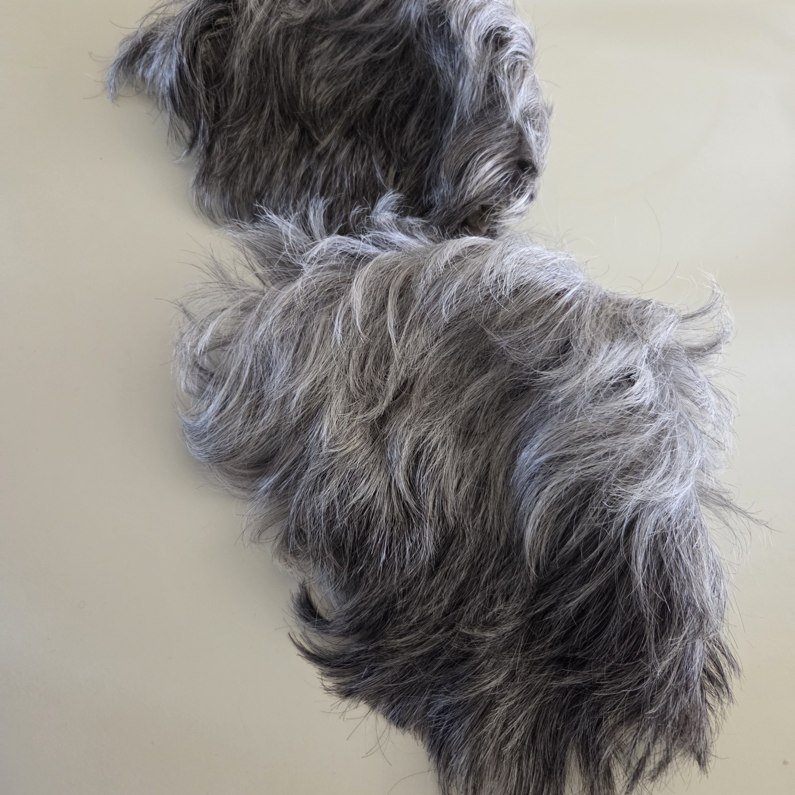 Lot of 2 Gray Shaded Wigs Short Aspen & Estetica Design R56T