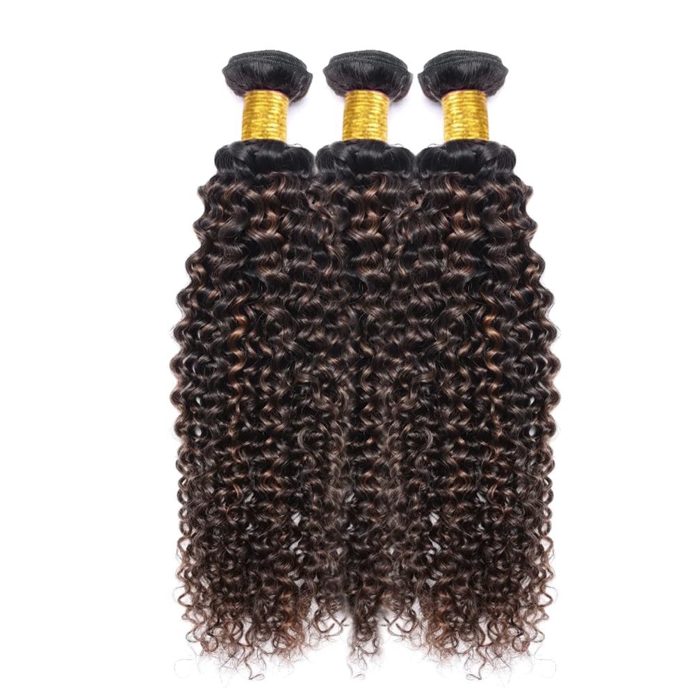 Ombre Bundles P1B30 Kinky Curly Human Hair Bundle 1B30 Highlight Brown Curly …
