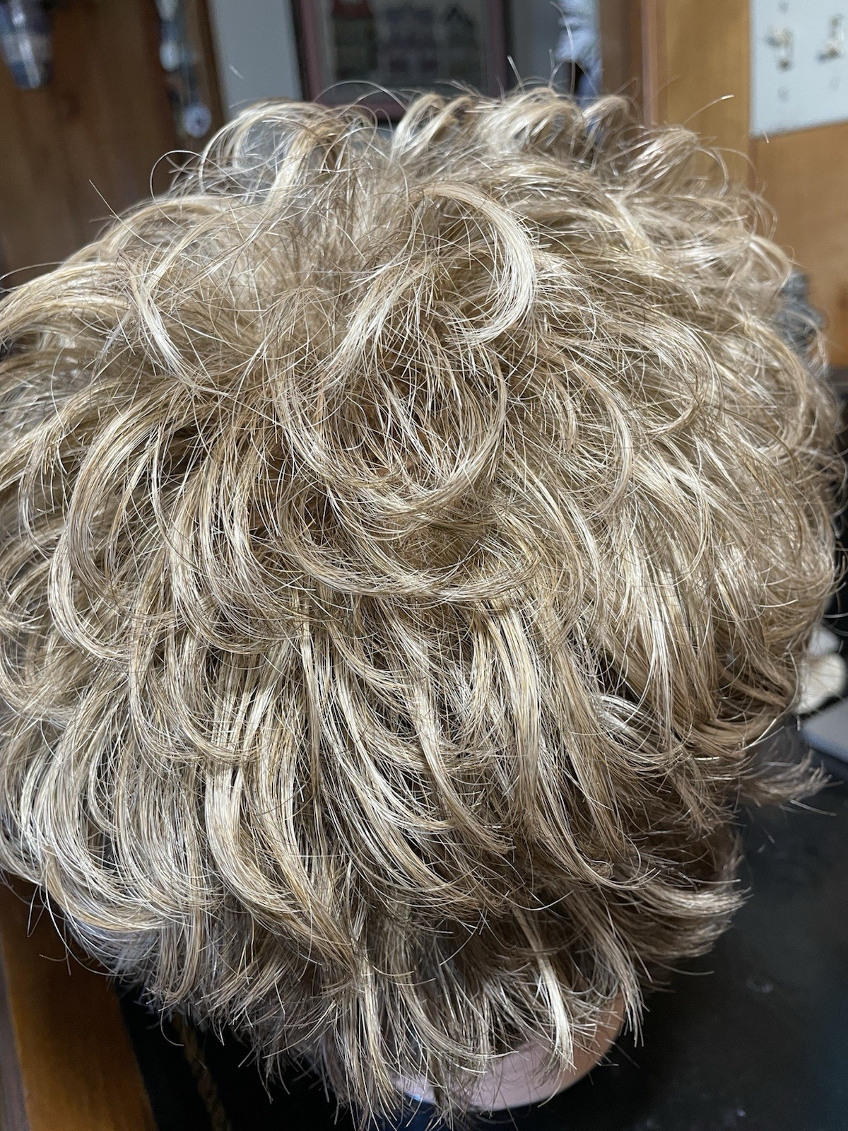 Gabor Short Curly Wig Brown With Blonde/Gray Streaks Elite Flexlite