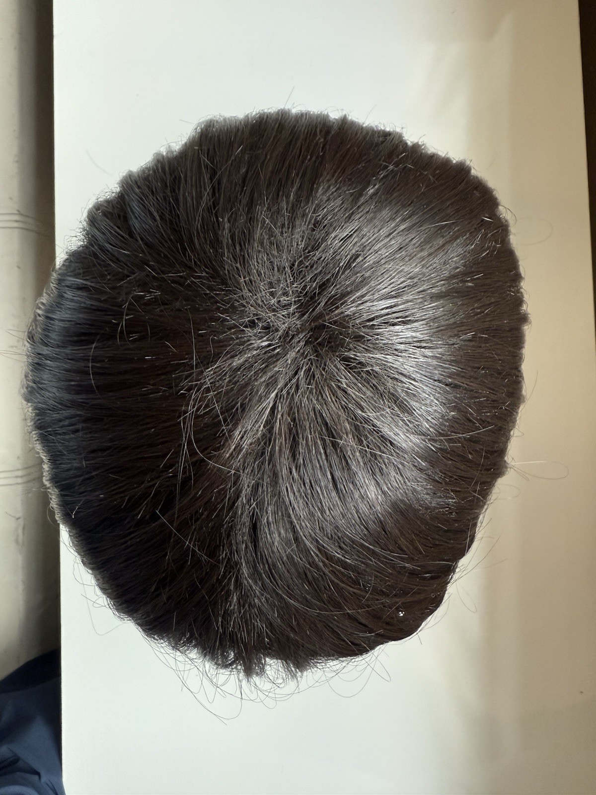 Hairdo by HairUWear Classic Fling Wig R4 Midnight Brown Synthetic NEW Japan