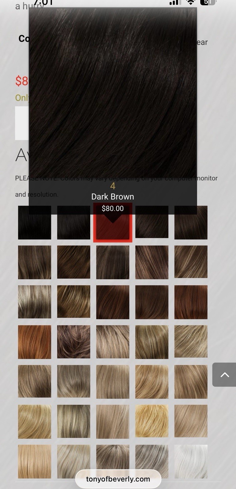 New Snappy Clip Hair Attachment Tony of Beverly Model Dusty Color 4 Dk Brown NIB
