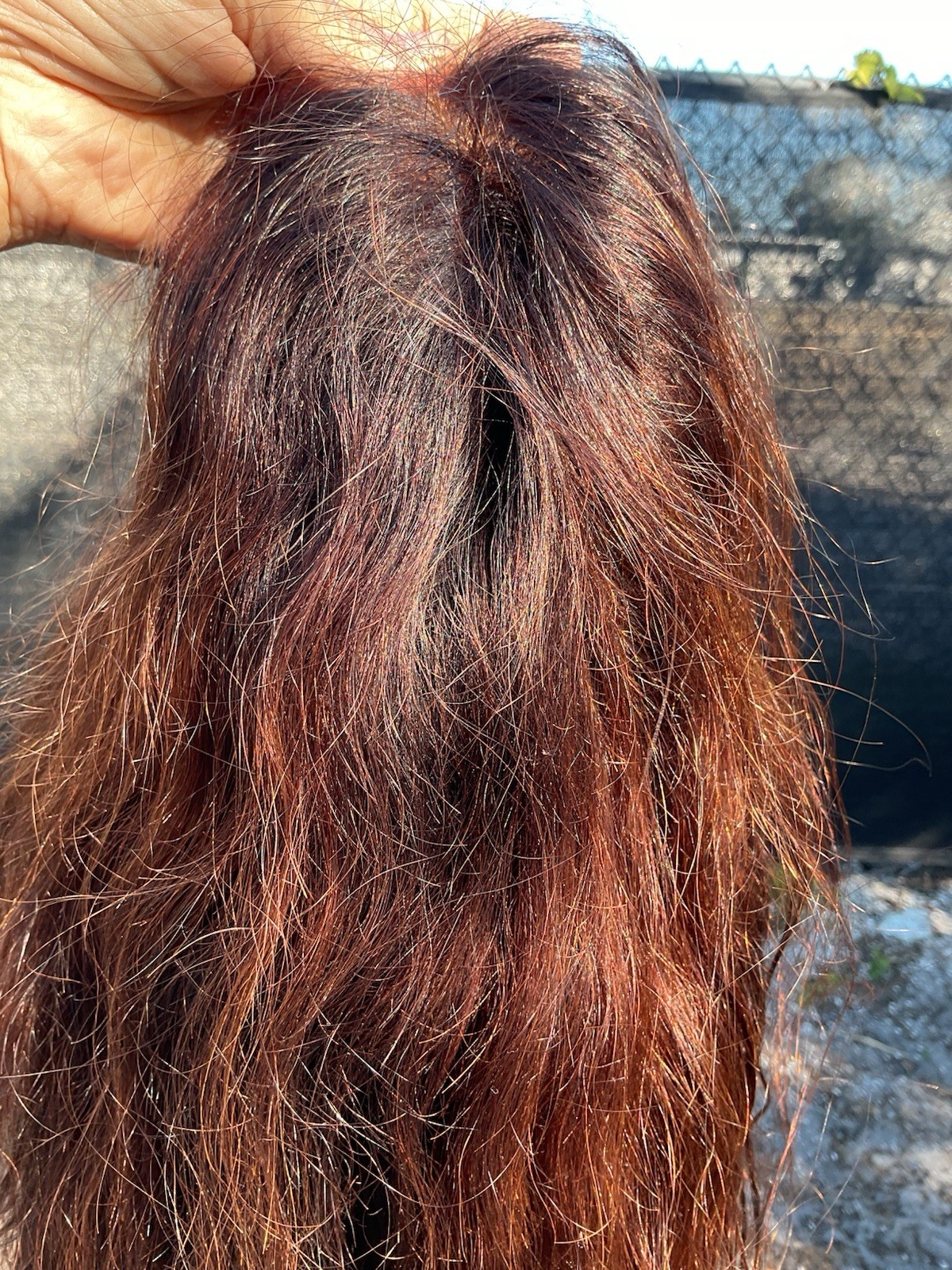 100% Human Hair Glueless Lacetop 26” Wavy Dark Brown/Auburn Highlights NWOT