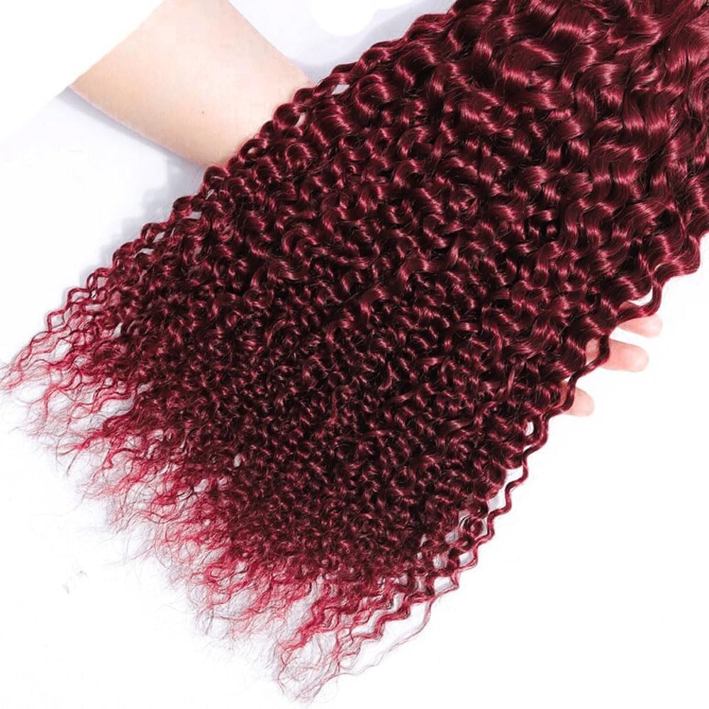 Hydtxc Human Hair Bundles Omber Burgundy T1B/99J Jerry Curly Human Hair Bundles