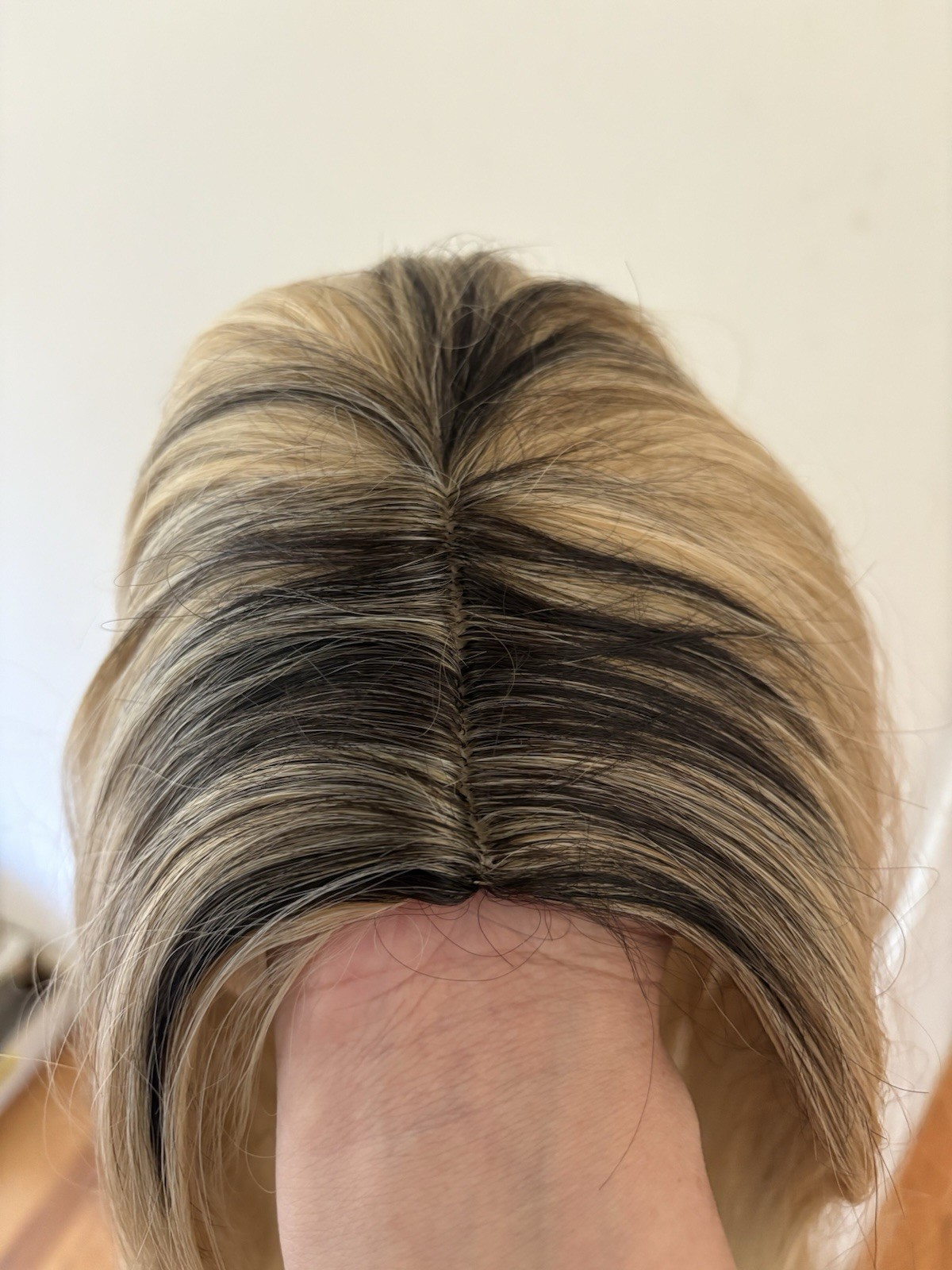 Dark Rooted Blond Synthetic Straight Wig, Classic Cap, Elastic Band, Middle-Part