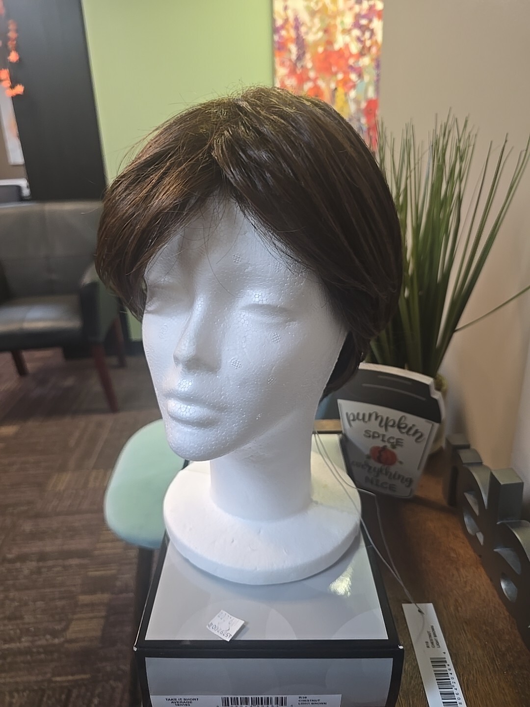 Hair U Wear Take It Short Average R10 Chesnut Light Brown