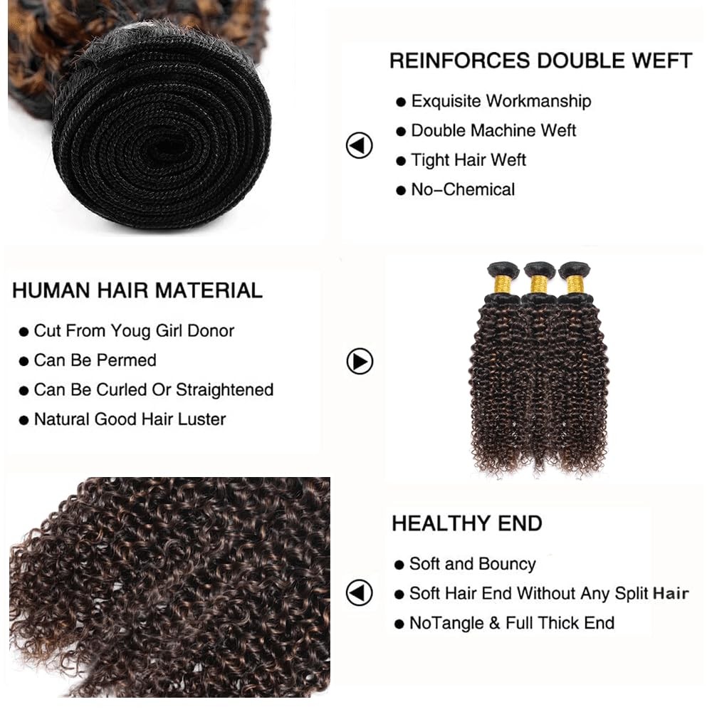 Ombre Bundles P1B30 Kinky Curly Human Hair Bundle 1B30 Highlight Brown Curly …