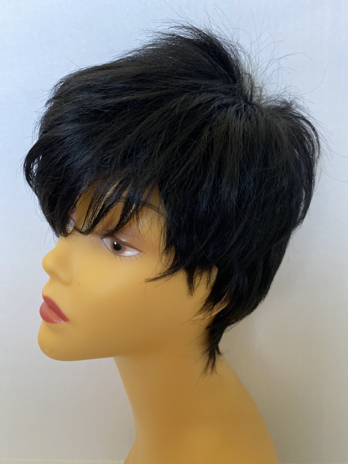 Kris Jenner Style Short Asymmetrical Synthetic Wig, NWT, Retail $29.99