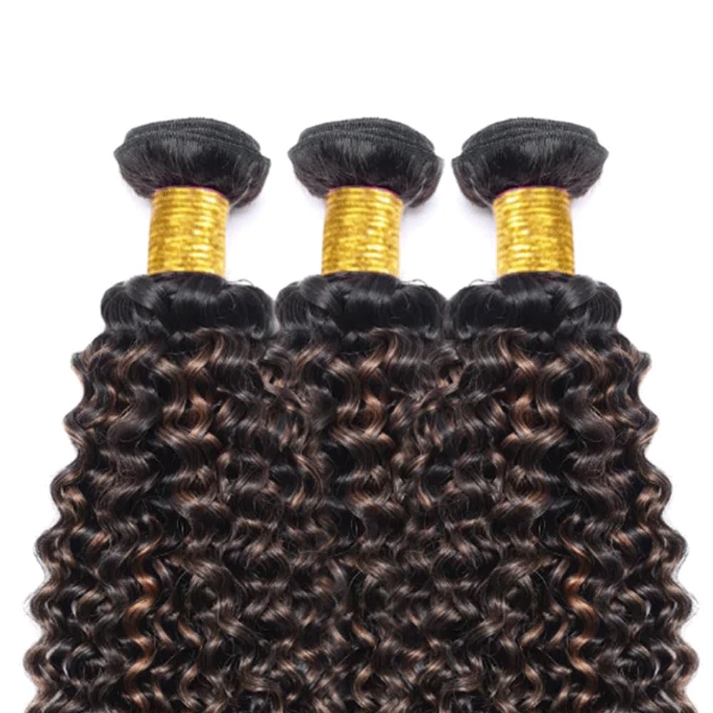 Ombre Bundles P1B30 Kinky Curly Human Hair Bundle 1B30 Highlight Brown Curly …