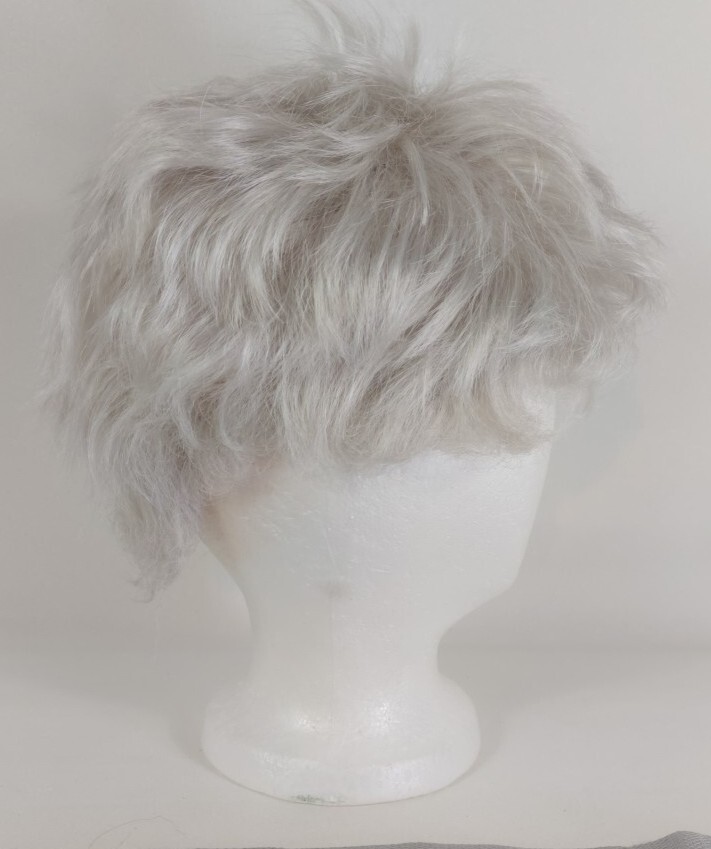 Aspen Designers Choice Wig,