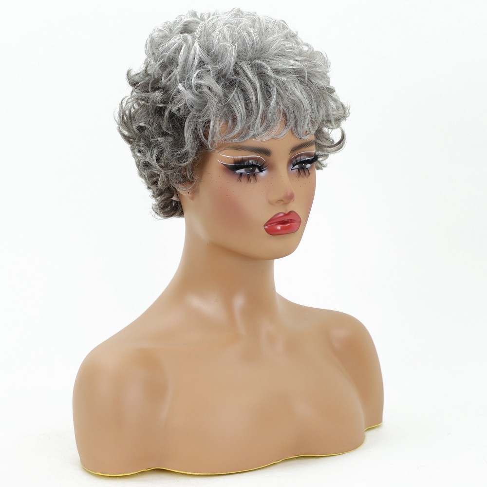 Women’s Short Curly Silver Gray Wig Heat Resistant Synthetic Full Daily Wear