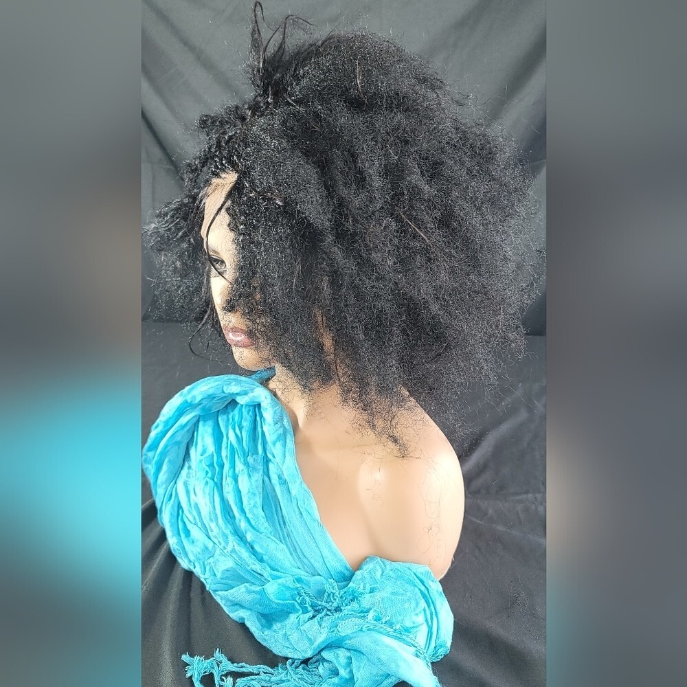 Braided Wig Short Afro Kinky Black Lace Front Glueless Baby Hair 4″ Handmade NWT
