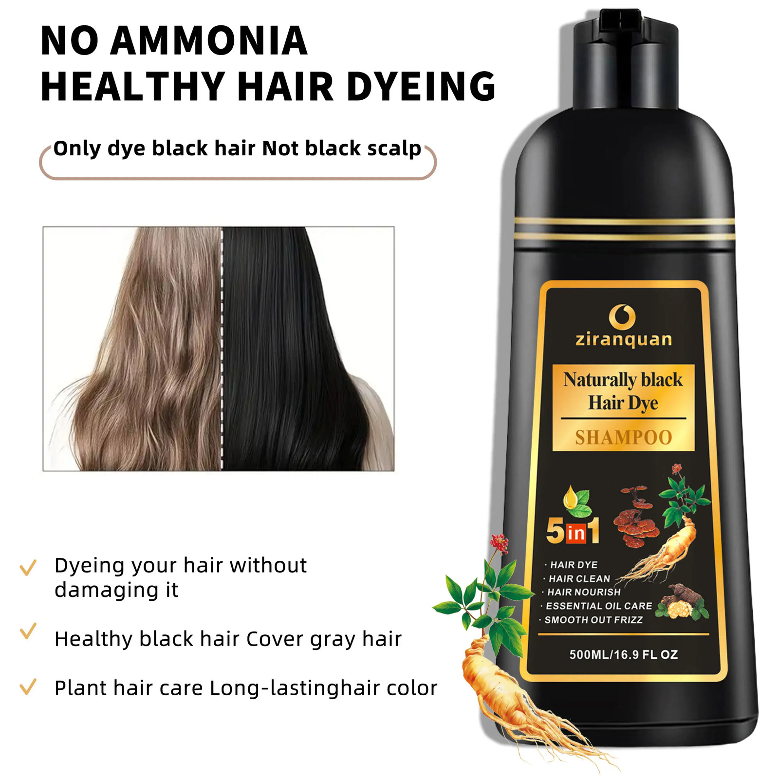 Natural Black Hair & Beard Color Shampoo with Organic Ginseng & Ginger Root Extr