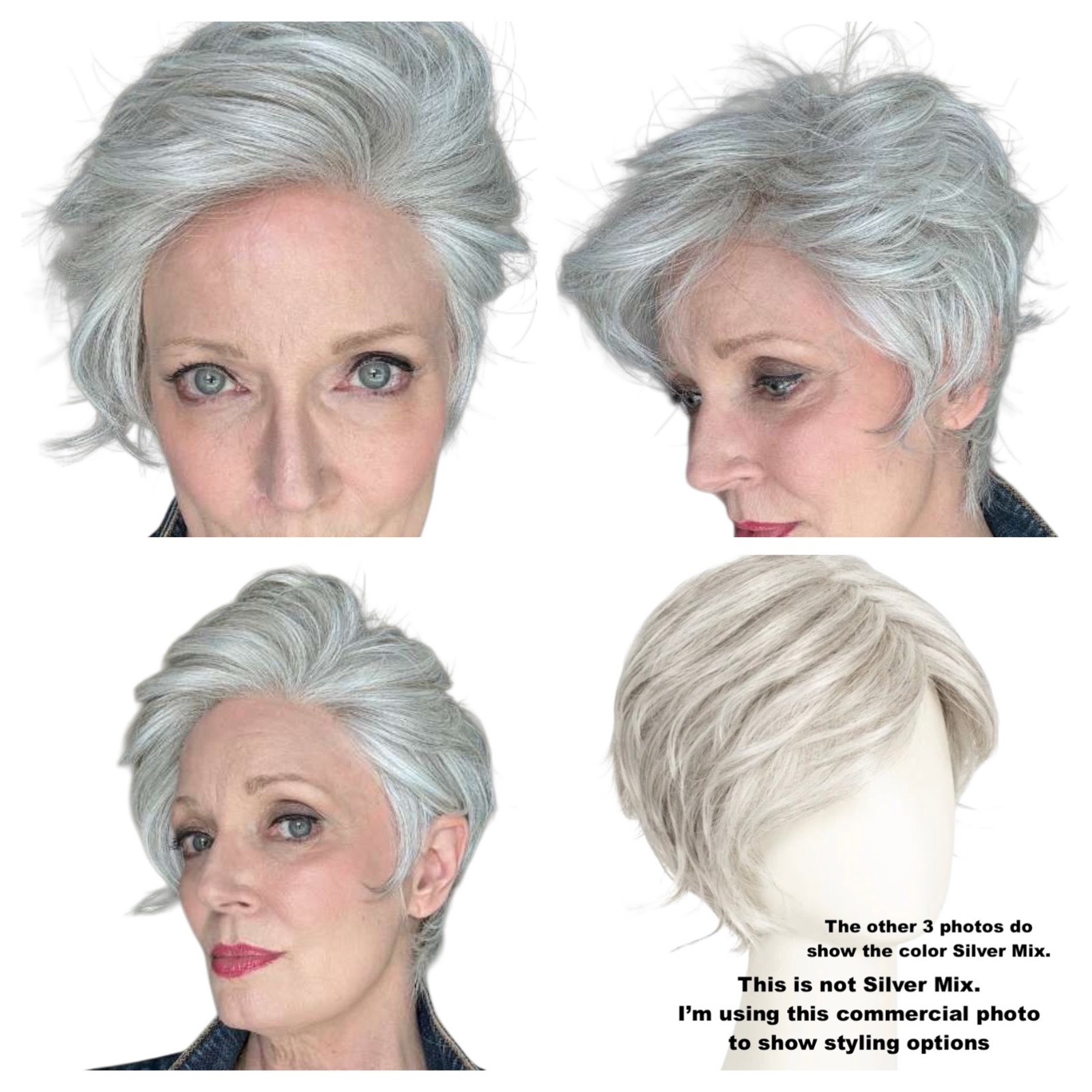 wig NWT in box COVER Ellen Wille Silver Mix short 2.2oz high heat mono-part
