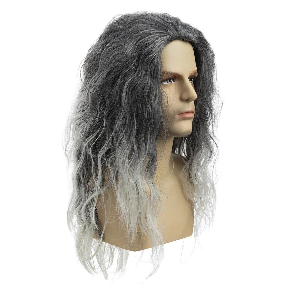Baruisi Long Curly Wavy Grey Wigs for Men Synthetic Natural Party Halloween C