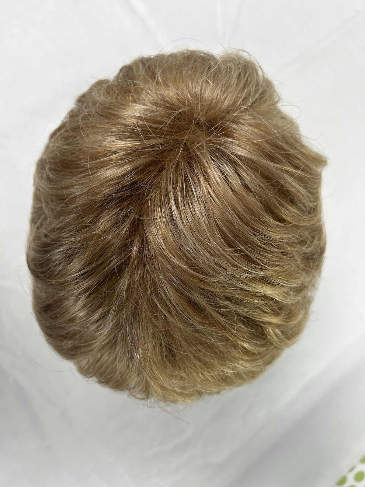 Raquel Welch Signature Collection Synthetic Wig Light Brown Blond Highlights