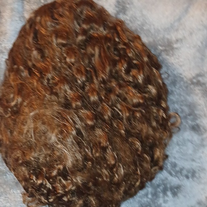 Clip-In Curly Hairpiece/Toupee Closure Cap Medium/Dark Brown Unisex Adult