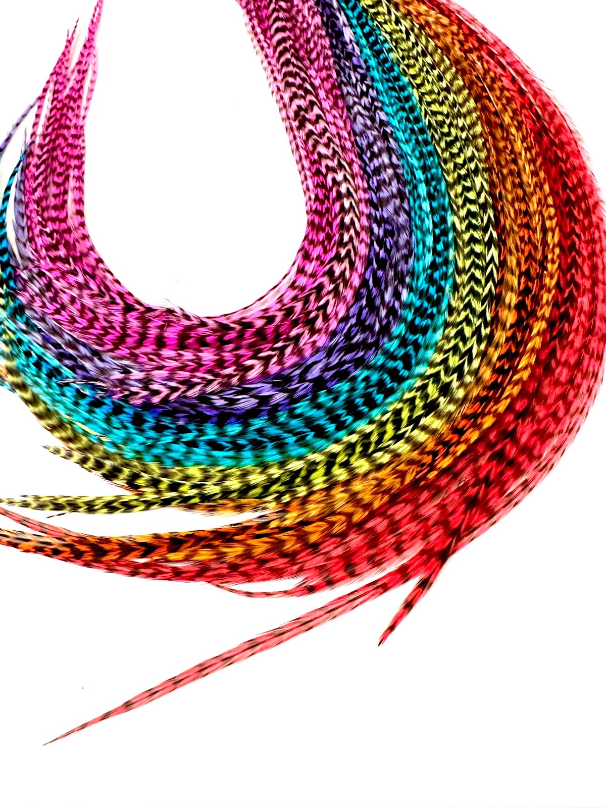 WHOLESALE 50 pcs. Rainbow Grizzly 10-14″ Feather Extension,Whiting Farms+DIY Kit