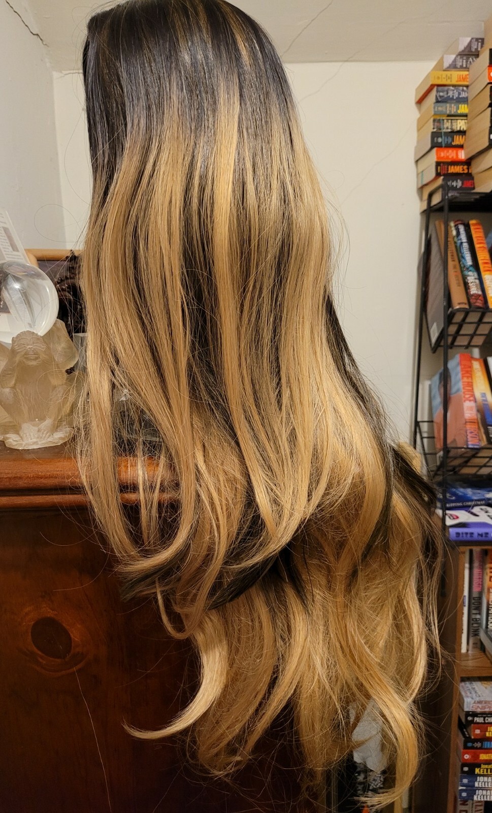 Ombre Wig Black to Light Brown Long Wavy Heat Resistant Synthetic 28in Halloween