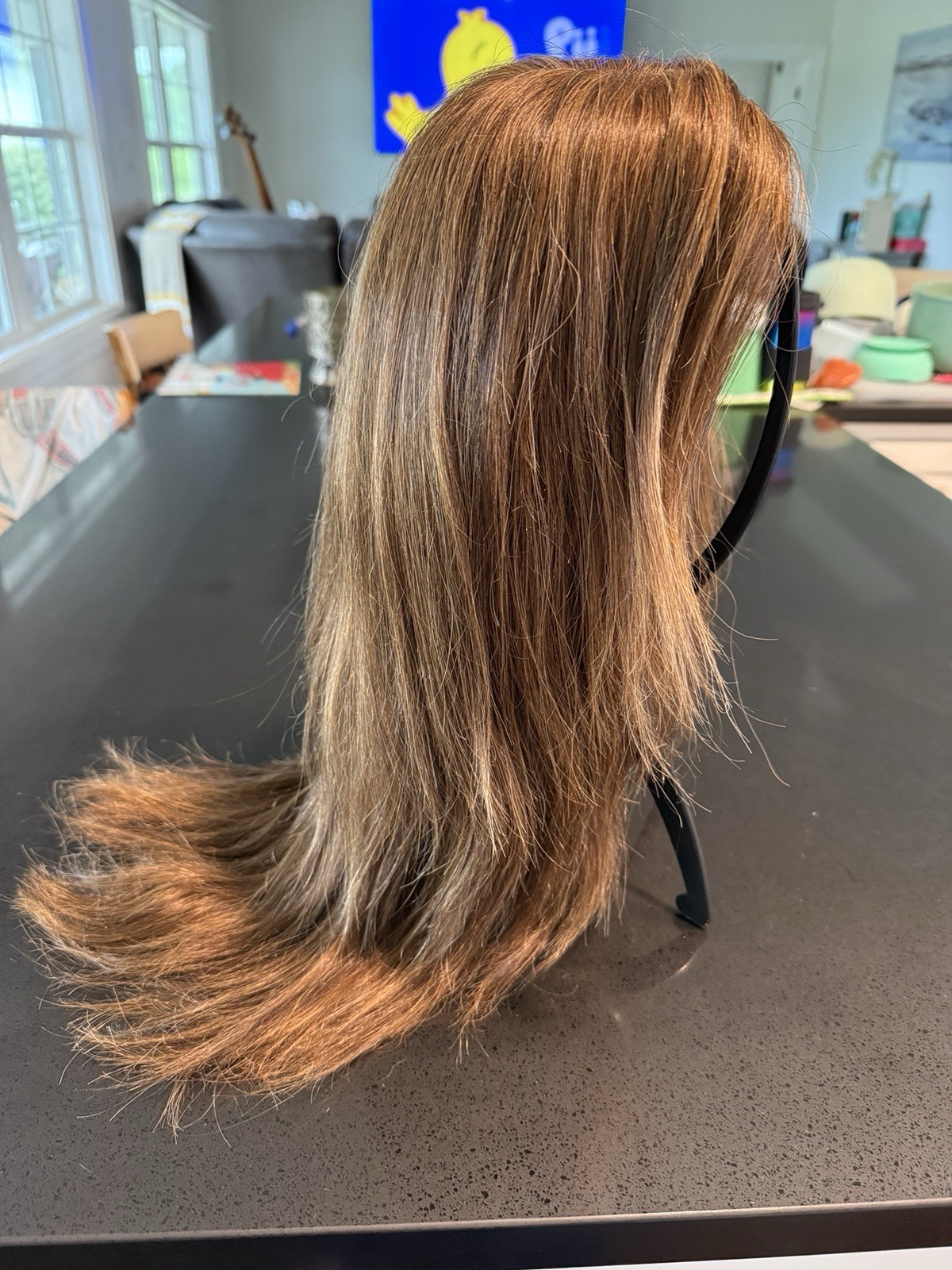 Human Hair Monofilament Wig, Auburn Brown, Layered, Long