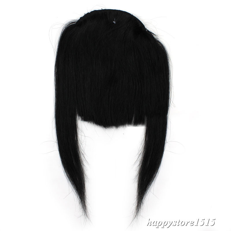 Clip in Front Bangs Clip on Fringe Hair Extensions Real Remy Human Hair Straight