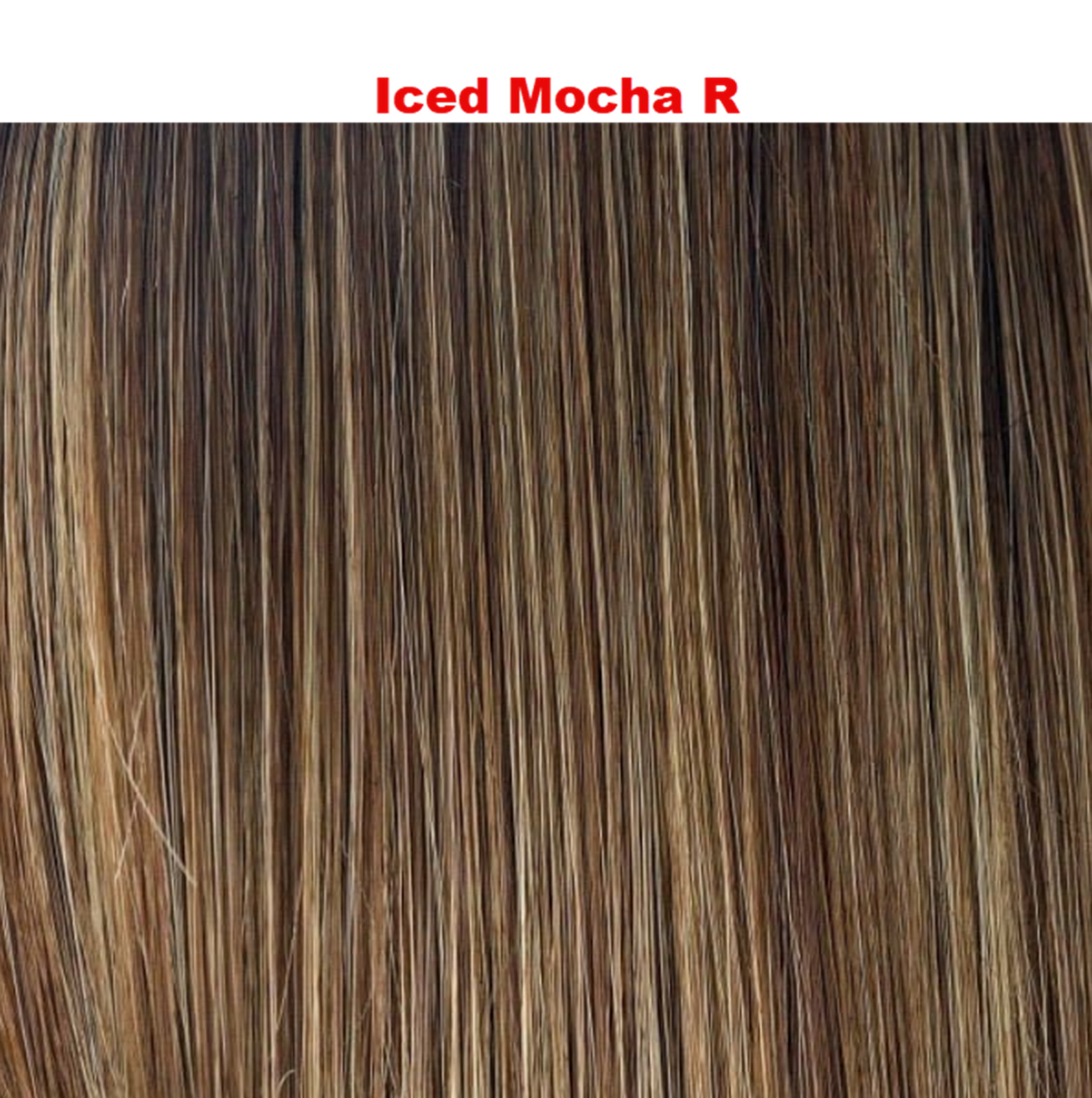 NEW Lace Front BRAYLEN Wig by AMORE In Iced Mocha R – Double Mono Top