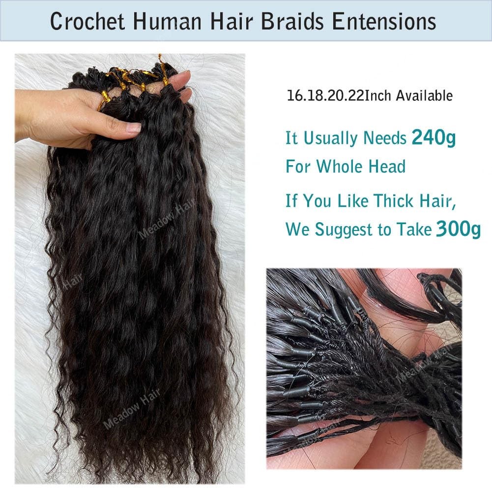 Knotless Crochet Human Hair Braids Extensions Pre Separated Feather Hair Wet and